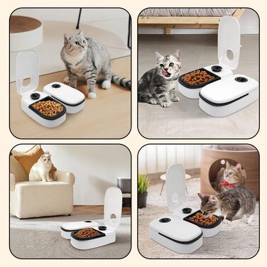 Автомат для годування котів BIZOI: для вологого та сухого корму, універсальний, підходить для собак