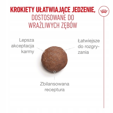 Сухий корм для літніх котів ROYAL CANIN Ageing 15+, 4 кг