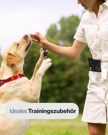 Сумка для ласощів Dogster® для собак - зручний мішечок для смаколиків, швидкий доступ до винагороди, з карабіном