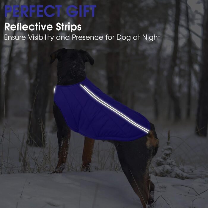 Водонепроникна куртка для собак - тепла зимова модель з блискавкою для малих, середніх та великих собак. Синій колір, розмір S.