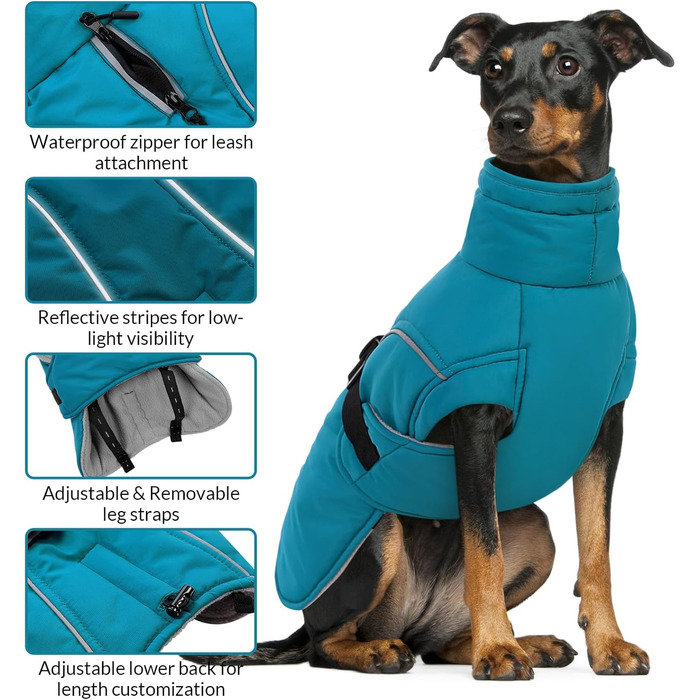 Водонепроникний зимовий одяг для собак Queenmore XL, теплий пуховик для великих собак, синій, X-Large