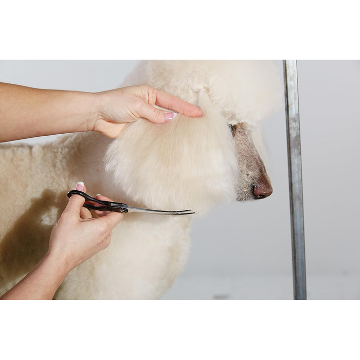Ножиці для витончення шерсті Andis 6.5' для собак та котів, професійні, правша (80645)