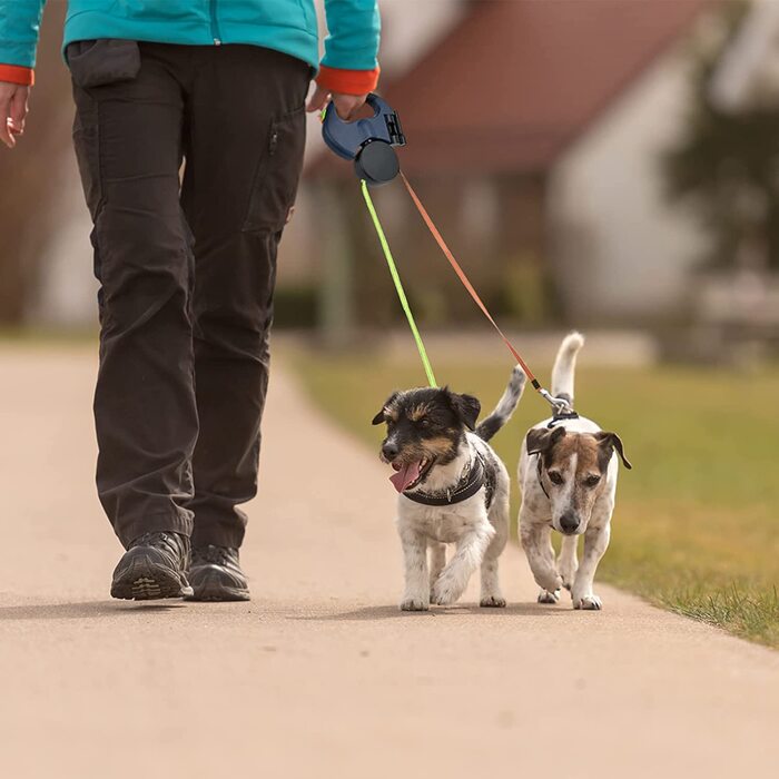 Регульований подвійний рулетка-повідець для собак 3M з LED-підсвіткою