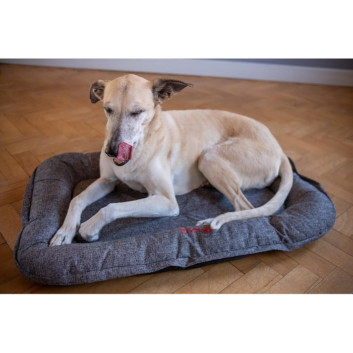 Килимок для собак iEnergy GIS Outdoor - зручний лежак для відпочинку в саду, на природі, в авто та в подорожах