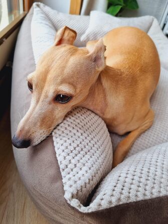 М'яке ліжко для собак Teo 80x60 см, знімний чохол, коричнево-бежеве, 80 x 60 x 20 см