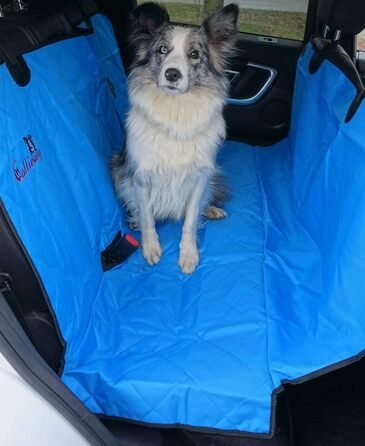 Callieway Автоковдра для собак, плед для пікніків з м'якими лапками (блакитний)