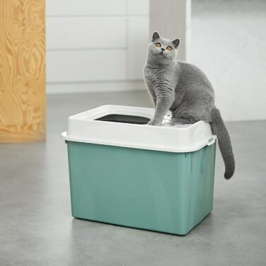 Rotho MyPet Eco Berty: туалет для котів з верхнім входом, пластик (перероблений PP), бежевий/білий, 57.2 x 39.3 x 40.4 см