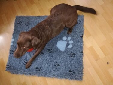 Килимок для собак, сірий з лапами, 100x75 см - зручний лежак для вашого улюбленця