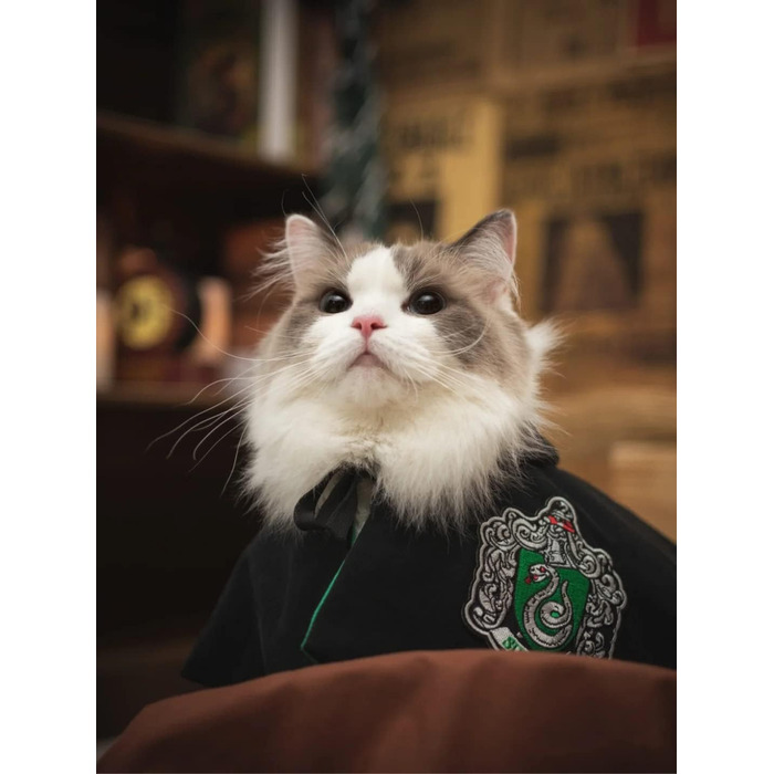Костюм для собак та котів з окулярами та краваткою, косплей, Slytherin, розмір M