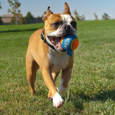 Іграшка для собак Nerf Dog Air Strike Thrower 63,5 см, прозорий, набір з 5 м'ячами 6,3 см, легкий, міцний, водостійкий, для малих, середніх і великих порід