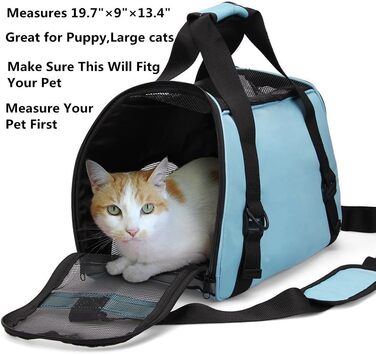 Зручна переноска для собак, котів та цуценят Dotala, складна, схвалена авіаперевізниками, блакитна, розмір S (40x20x30 см)