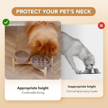 Підвищений годівниця для собак та котів Havniva з кераміки, для повільного годування, 13 см та 15,5 см миски, дерев'яний підставник, 2 шт. світло-зелений + підставка