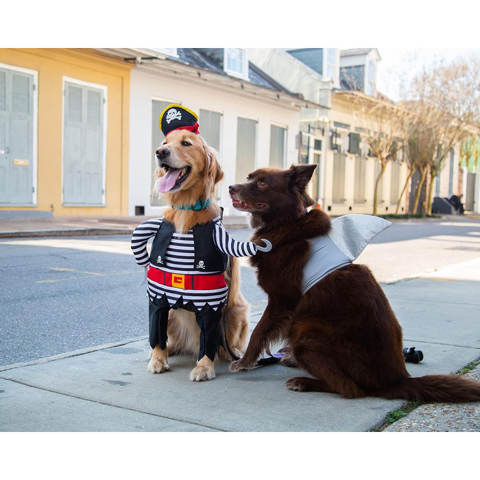 Костюм акули для собак Pet Krewe | Вечірній костюм для собак, святкування дня народження, національного дня котів, Хелловін | Для маленьких та великих собак