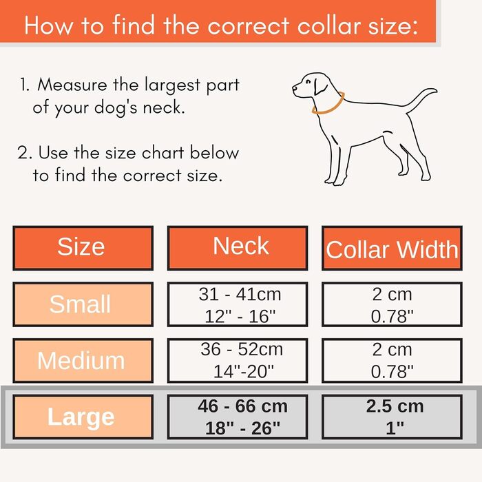 Нашийник для собак великих порід, світловідбиваючий, з підкладкою, регульований, металева застібка, кільце з алюмінію (L, Dreamy Aqua)