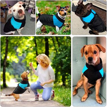 WELLXUNK Теплий водонепроникний дощовик для собак, куртка для маленьких та великих собак (блакитний, 83 см, L)