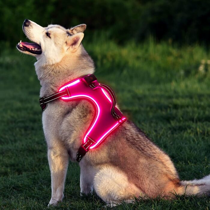 Світлодіодна шлейка для собак з LED-підсвічуванням, перезаряджувана, RGB, для маленьких, середніх та великих собак (Рожева, XL)