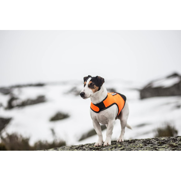 Одяг для собак Julius-K9 IDC Neopren Baby 2 чорного та UV-оранжевого кольору