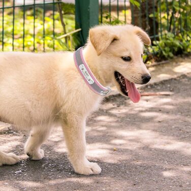 Персоналізоване світловідбиваюче нашийник та поводок для собак Senristar з гравіюванням, для малих, середніх та великих собак та котів (M, ширина 2,0 см, обхват шиї 28-36 см), рожевий комплект