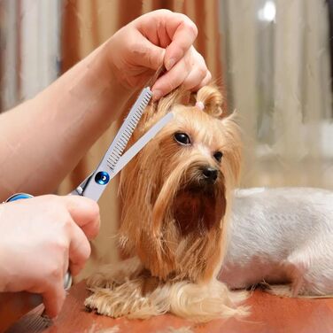 Набір для грумінгу собак Jiasoval 4-в-1: професійні ножиці, сталевий гребінець, сумка, безпечні кінчики