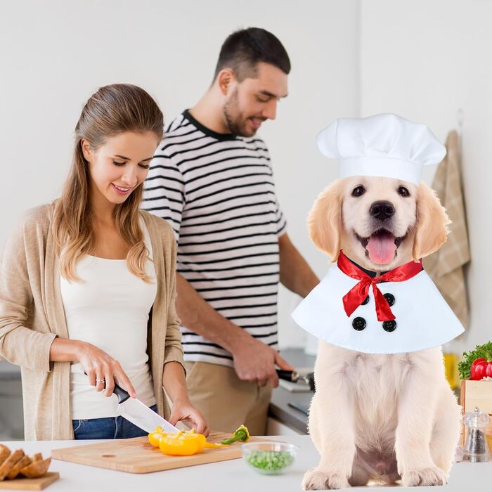 Костюм на Хелловін для собак: кухар з червоним шарфом. Веселий костюм для маленьких, середніх та великих собак. Підходить для тварин великої породи.