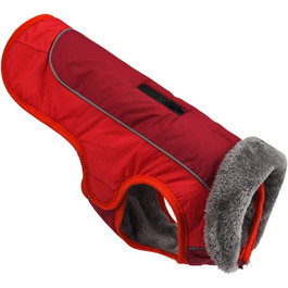 колір: гниль