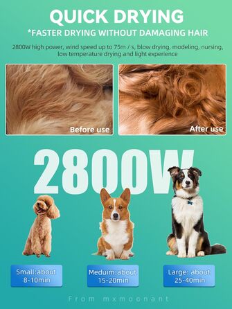 Фен для собак Mxmoonant 2800W з регулюванням потужності та температури, LED дисплеєм, контролем температури, іонізацією та набором насадок