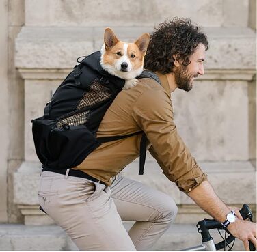 PETCUTE Рюкзак-переноска для собак і котів, чорний, до 3 кг