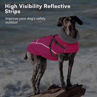 Зимовий теплий куртка для собак Queenmore, водонепроникний, з кріпленням для шлейки, 3-шаровий, світловідбиваючий, для великих порід (Лабрадор, Хаскі, Голден Ретрівер), розмір 2XL (XS, Рожевий)