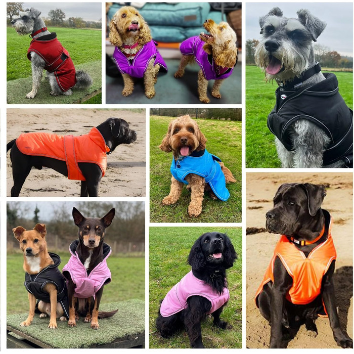 Теплий водонепроникний зимовий одяг для собак Hugglepets Arctic Armour, фіолетовий, XL, 60 см, з відбиваючим флісом для великих собак, регульована застібка-липучка та блискавка