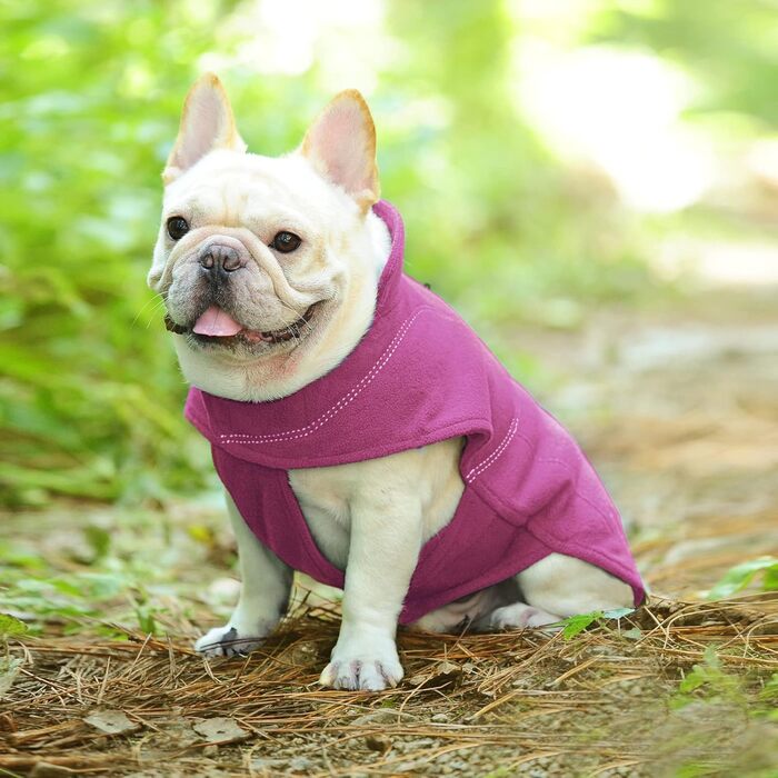 Теплий зимовий пуховик для собак VIVAGLORY з флісу, з захистом живота та клямками, регульований, S, фуксія