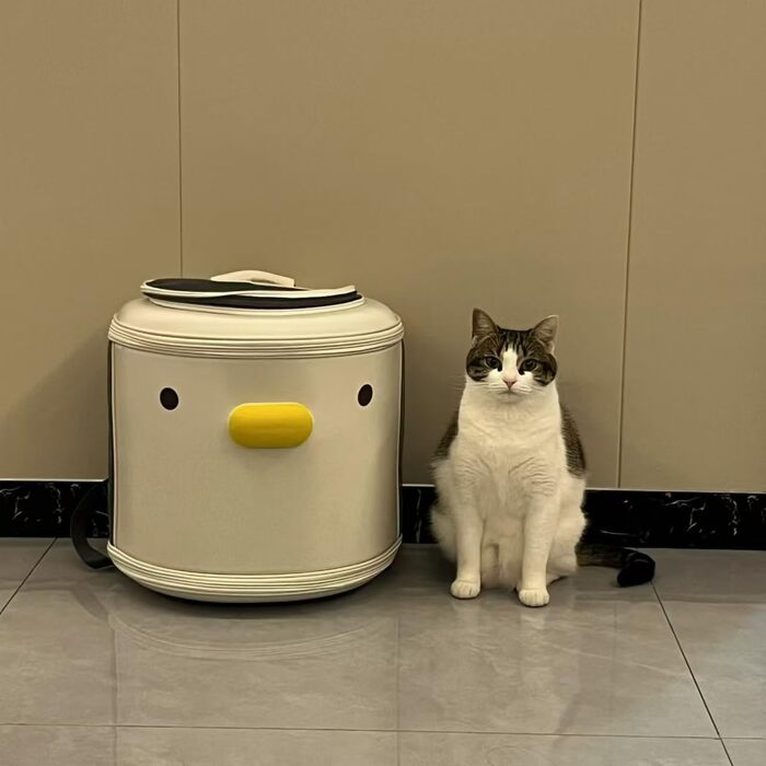 Рюкзак для домашніх тварин: переноска для собак та котів вагою до 15 кг