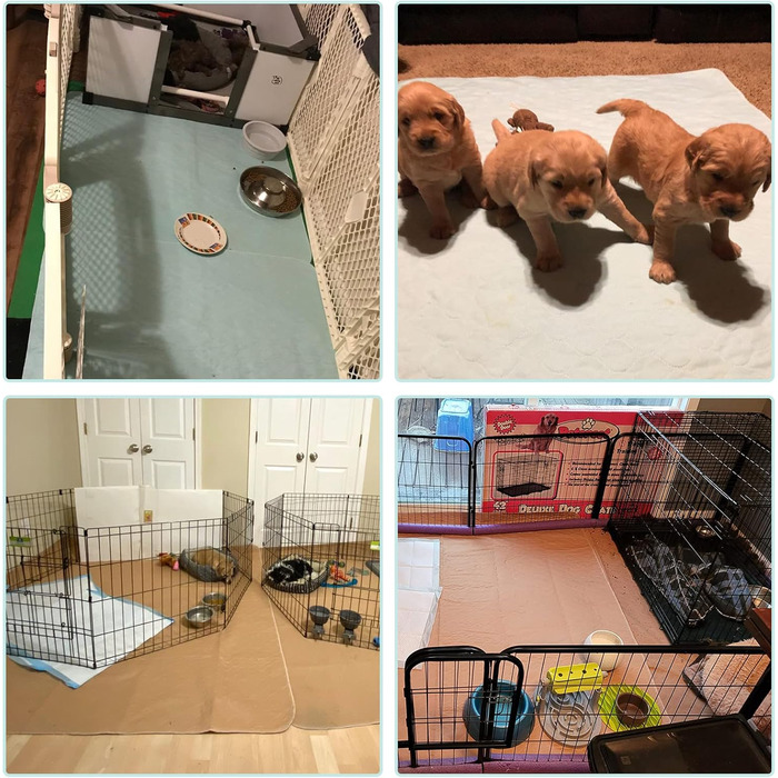 Підгузки для собак Kooltail - водонепроникні килимки для туалету, неслизькі пелюшки для цуценят, багаторазові пелюшки для вигулу собак, 86 x 26 см (2 шт.), сірий