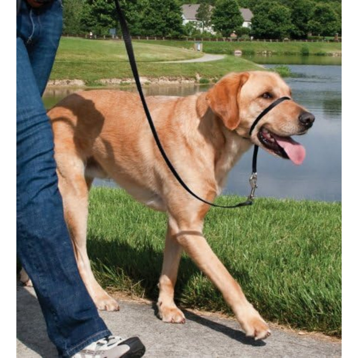 Шлейка для собак PetSafe Easy Walk, середній/великий розмір (чорна, L)