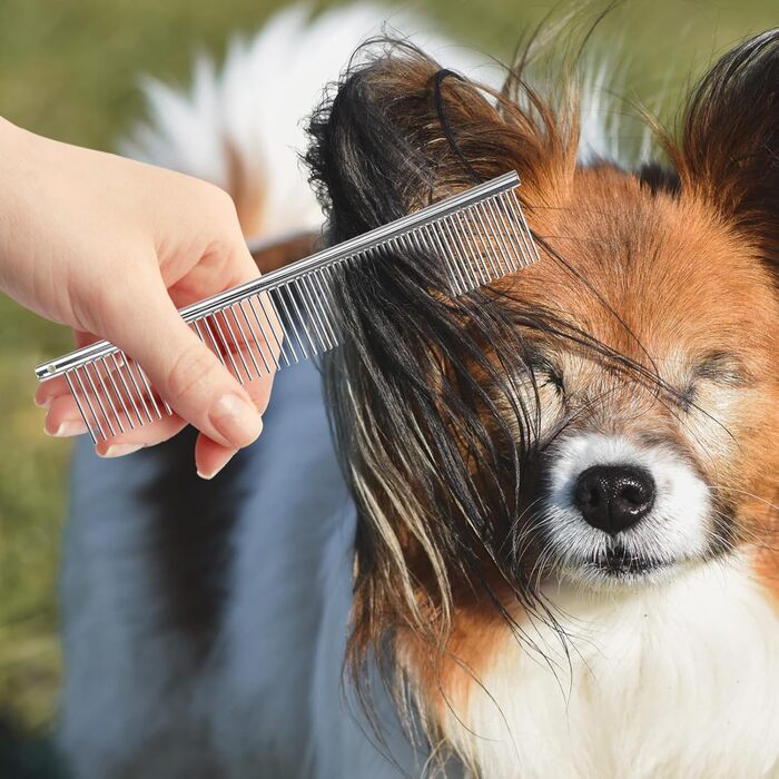 Професійні ножиці для грумінгу собак та котів BESPORTBLE - ножиці з нержавіючої сталі для догляду за домашніми тваринами