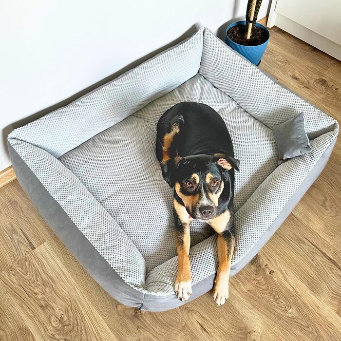 Квіткове ліжко для котів та собак 4L Textil Teo: м'яке, зручне, миється, 60x40 см, сірий колір