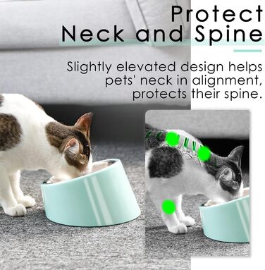 Нахилена годівниця для собак та котів SuperDesign 15°, зелений меламін, 600 мл