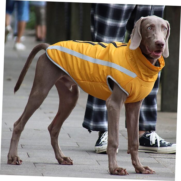 Жовтий водонепроникний дощовик для собак, дощовик для цуценят, 50x60 см