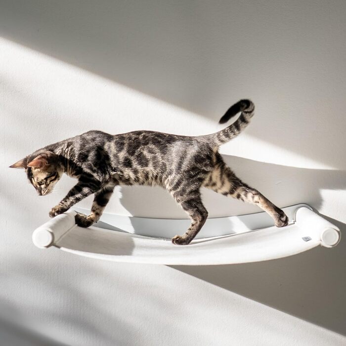 Кішка-гамак AZANO® XL з металу | Дизайнерська стіна для лазіння котів | Ліжко для котів на стіні | велике та стабільне (Сірий)