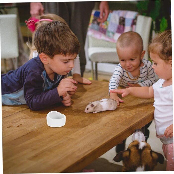 Набір мисок для хом'яків та дрібних тварин Ipetboom (2 шт) - білий, для води та корму