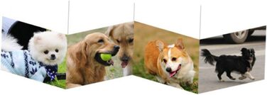 Рюкзак для вигулу собак і котів LOLIPPYY, великий, дихаючий, блакитний