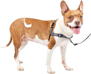 Шлея для собак PetSafe Deluxe Easy Walk, преміум