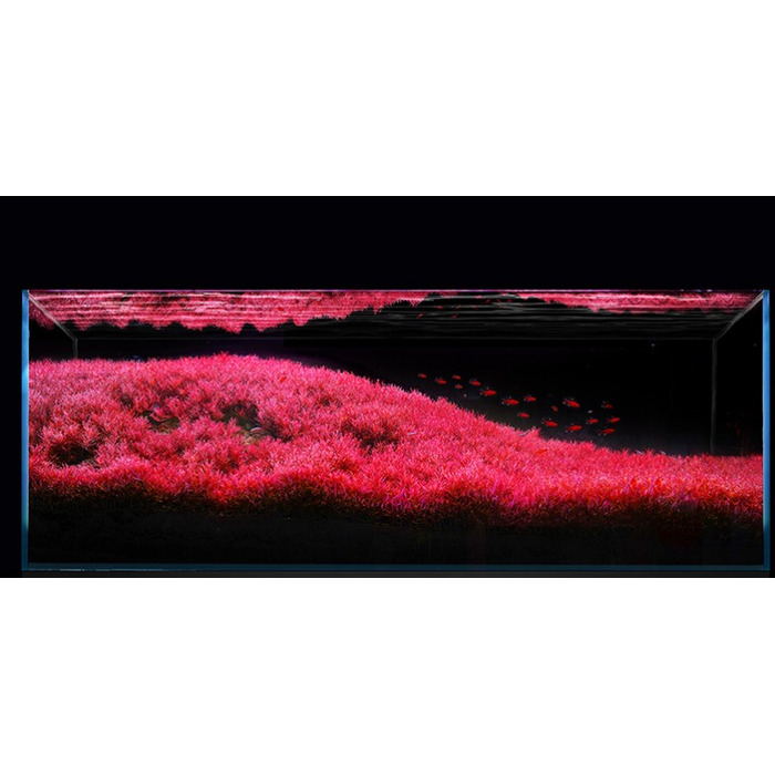 LED-освітлення для акваріума LUMI FLORA, комплект 2x60см, світлодіоди 5730 RGB