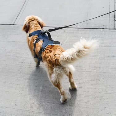 Світловідбиваючий нашийник для собак з LED підсвічуванням, перезаряджуваний, з м'якою ручкою, 3 регульовані розміри, водонепроникний, для середніх та великих собак, зелений (блакитний, XL)