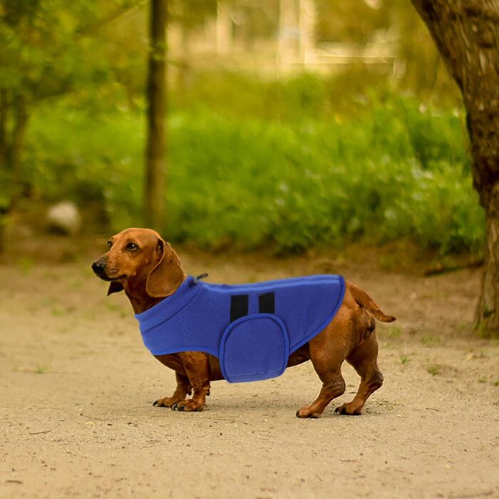 Теплий зимовий пуловер для собак Queenmore: флісова куртка, жилетка для дрібних порід (такса, чихуахуа, бульдог), блакитний, XS