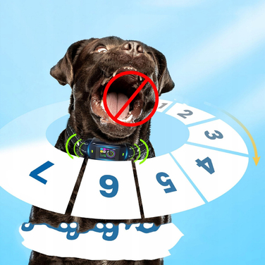 Корекційний нашийник для собак — електричний тренувальний нашийник для дисципліни та заспокоєння