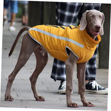 Жовтий водонепроникний дощовик для собак, дощовик для цуценят, 50x60 см