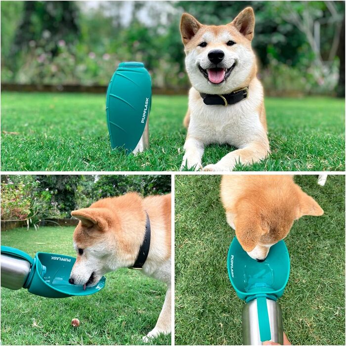 PupFlask пляшка для води для великих собак 800/1200 мл, нержавіюча сталь, портативна поїлка для собак і цуценят, герметична, для подорожей, підходить для всіх порід