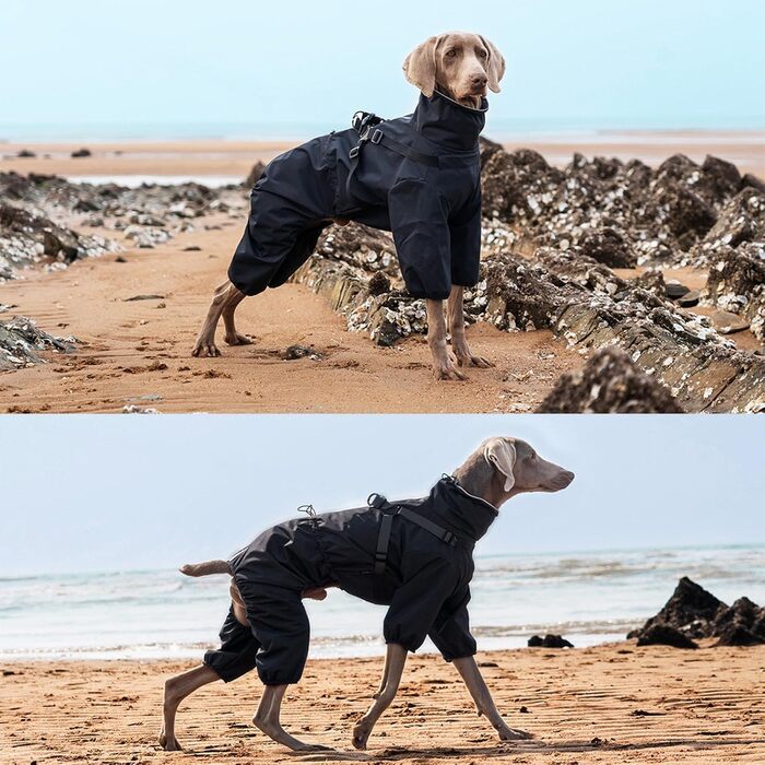 Дощовик для собак, регульований, з 4 лапами, водонепроникний, вітронепроникний, світловідбиваючий, для малих та середніх собак, розмір M, (3XL: Довжина спини: 41см, Чорний)