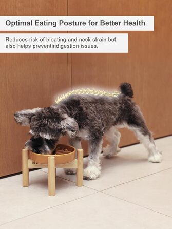 Миска для собак Slow Feeder з кераміки з нековзним силіконовим краєм - пазл-миска для запобігання здуття та ожиріння (Абрикос-S) (Маленька, Хвилі-Абрикос зі стійкою)