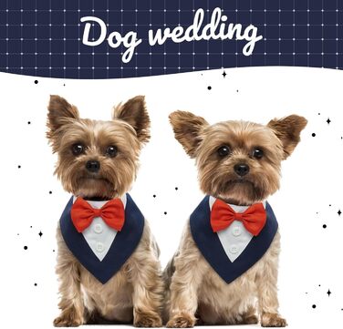 Нашийник для собак Kuoser, святковий аксесуар, великий розмір (L), блакитний